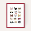 Cats in Glasses