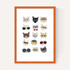 Cats in Glasses