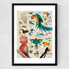 Birds by Dieter Braun Medium Black Frame