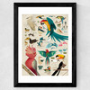 Birds by Dieter Braun Wide Black Frame