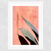Peach Cactus Wide White Frame