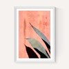 Peach Cactus