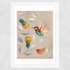 Hummingbird by Dieter Braun Wide White Frame