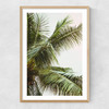 Palm Trees Above Me Narrow Oak Frame