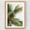 Palm Trees Above Me Wide Oak Frame