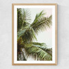 Palm Trees Above Me Medium Oak Frame