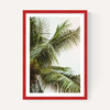 Palm Trees Above Me