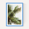 Palm Trees Above Me