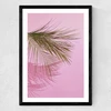 Frond of You