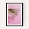 Frond of You