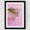 Frond of You