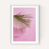 Frond of You