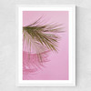Frond of You