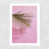 Frond of You