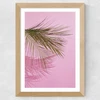 Frond of You