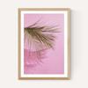 Frond of You