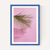 Frond of You