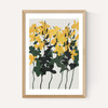 Orchids 7