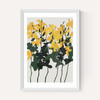 Orchids 7