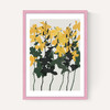 Orchids 7