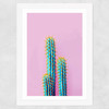 Fluoro Cactus Wide White Frame