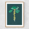 Brussel Sprouts Narrow Oak Frame