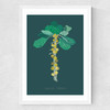 Brussel Sprouts Medium White Frame