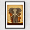 Elephant Stampede