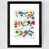 Birds by Hanna Melin Wide Black Frame