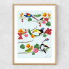 Birds by Hanna Melin Narrow Oak Frame