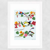 Birds by Hanna Melin Wide White Frame