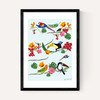Birds by Hanna Melin