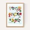 Birds by Hanna Melin