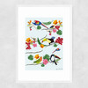 Birds by Hanna Melin Narrow White Frame