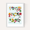 Birds by Hanna Melin