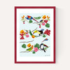 Birds by Hanna Melin