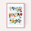 Birds by Hanna Melin