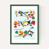 Birds by Hanna Melin