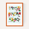 Birds by Hanna Melin