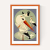 Storks