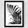 Palm Leaf 02 Wide Black Frame