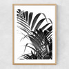 Palm Leaf 02 Narrow Oak Frame