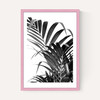 Palm Leaf 02