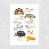 Reptiles in Glasses Unframed Print