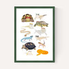 Reptiles in Glasses