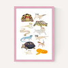 Reptiles in Glasses