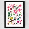 Cherry Blossoms 3
