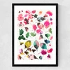 Cherry Blossoms 3