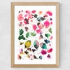 Cherry Blossoms 3