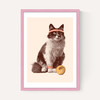 Chat Tennis